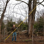 Greenhaus Gardening 12 ft Pole Saw with Curved Japanese Blade