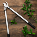Greenhaus Gardening Heavy-Duty Lopper for Tough Branch Cutting