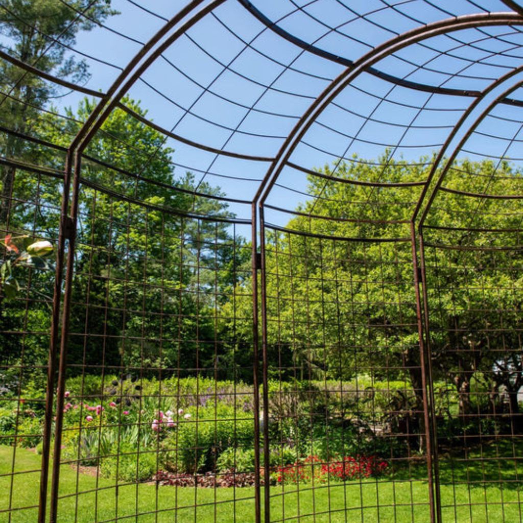 Greenhaus Gardening Garden Arbor, Meandering Steel Arch Trellis for Climbing Plants