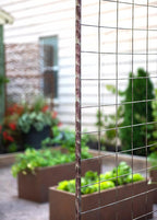 Greenhaus Gardening Tall Garden Arch Trellis, Durable Metal Plant Climbing Frame