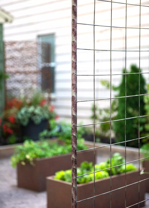Greenhaus Gardening Tall Garden Arch Trellis, Durable Metal Plant Climbing Frame