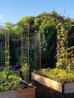 Greenhaus Gardening Tall Garden Arch Trellis, Durable Metal Plant Climbing Frame