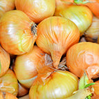 Greenhaus Gardening Onion Seeds Sweet Spanish Bulb Onion for Raised Bed Gardening