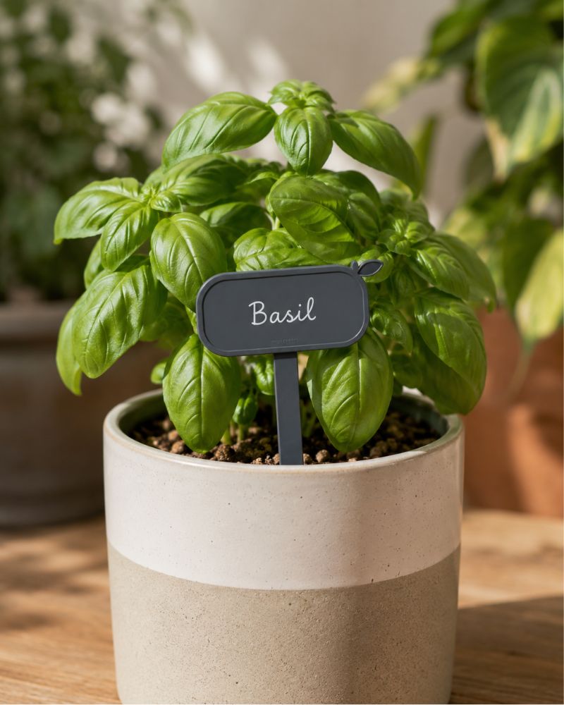 Greenhaus Gardening Plant Tags for Metal Raised Garden Beds