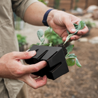 Greenhaus Gardening Seed Starting Kit All-in-One Starter Set for Flowers