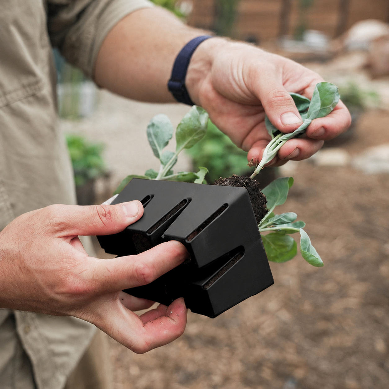 Greenhaus Gardening Seed Starting Kit All-in-One Starter Set for Flowers