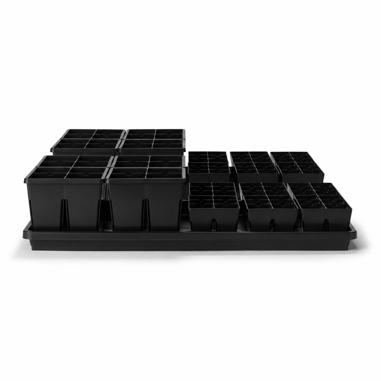Greenhaus Gardening Seed Starting Kit All-in-One Starter Set for Flowers