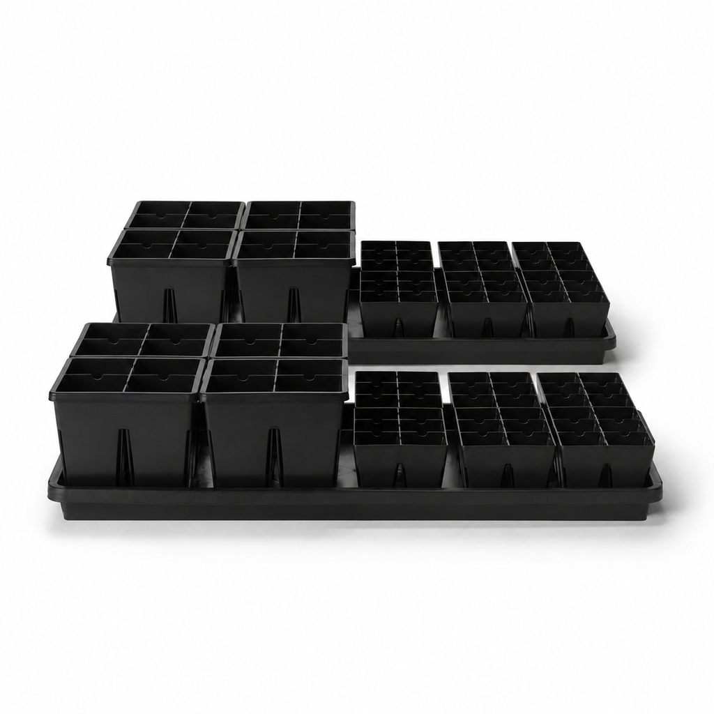 Greenhaus Gardening Seed Starting Kit All-in-One Starter Set for Flowers