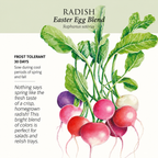 Greenhaus Gardening Radish Seeds Easter Egg Blend for Colorful Garden Harvests
