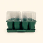 Greenhaus Gardening Seed Starting Tray Kit, Self-Watering Seedling Grow System