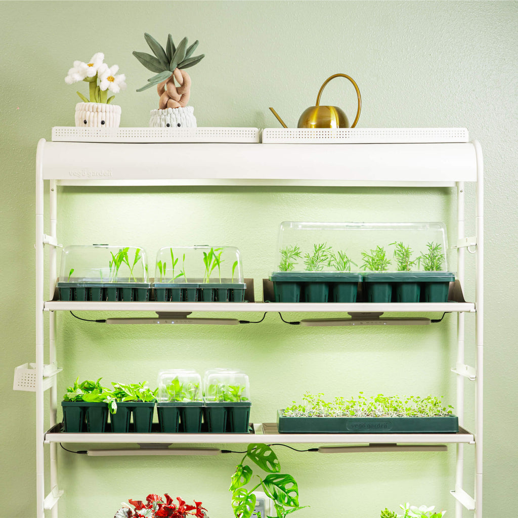 GreenHaus Gardening Complete Seed Starter Tray System