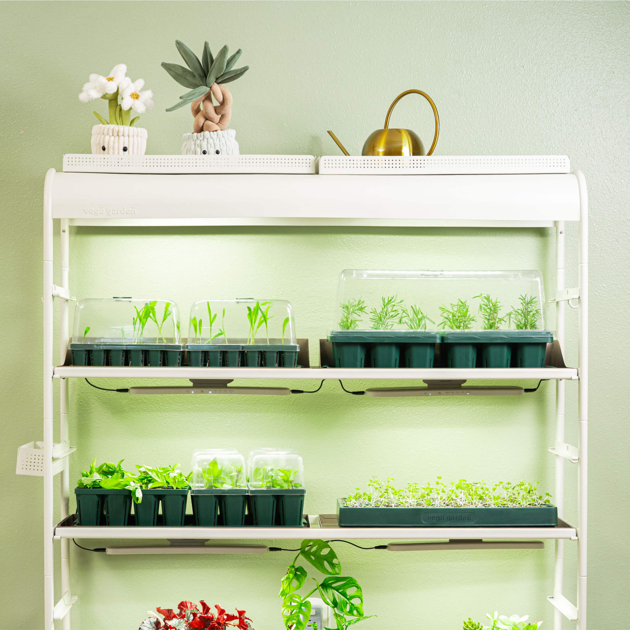 GreenHaus Gardening Complete Seed Starter Tray System