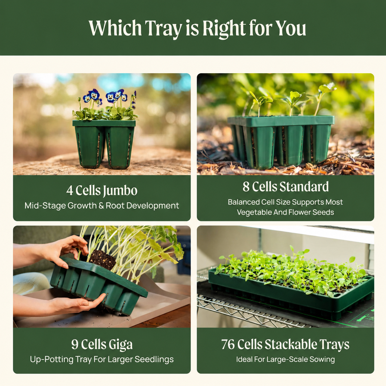 GreenHaus Gardening Complete Seed Starter Tray System