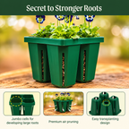 GreenHaus Gardening Complete Seed Starter Tray System
