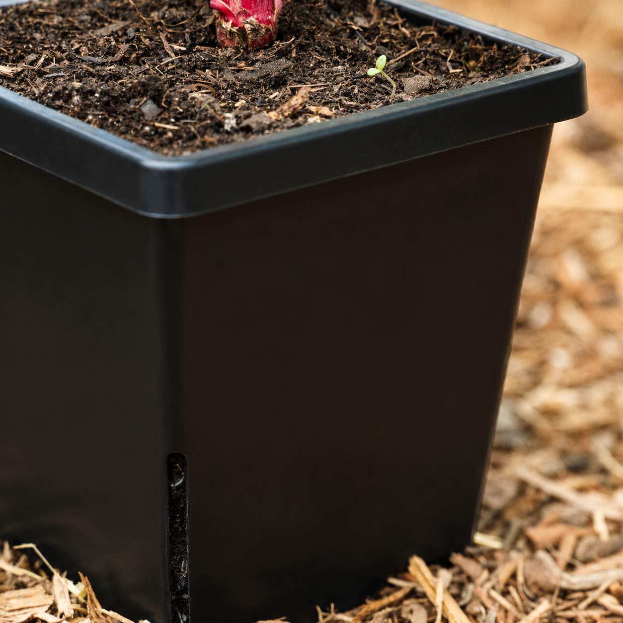 GreenHaus Gardening Deep Root Nursery Grow Pot