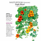 Greenhaus Gardening Nasturtium Seeds Trailing Vines for Trellis and Fence