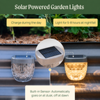GreenHaus Gardening Decorative Solar Lights for Raised Bed Gardens