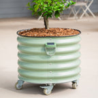 GreenHaus Gardening Decorative Solar Lights for Raised Bed Gardens