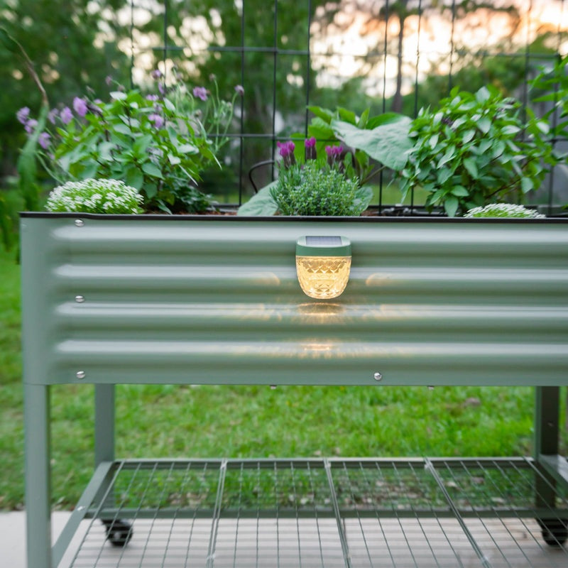 GreenHaus Gardening Decorative Solar Lights for Raised Bed Gardens
