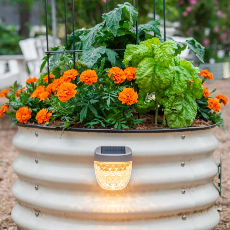 GreenHaus Gardening Decorative Solar Lights for Raised Bed Gardens