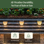 GreenHaus Gardening Decorative Solar Lights for Raised Bed Gardens