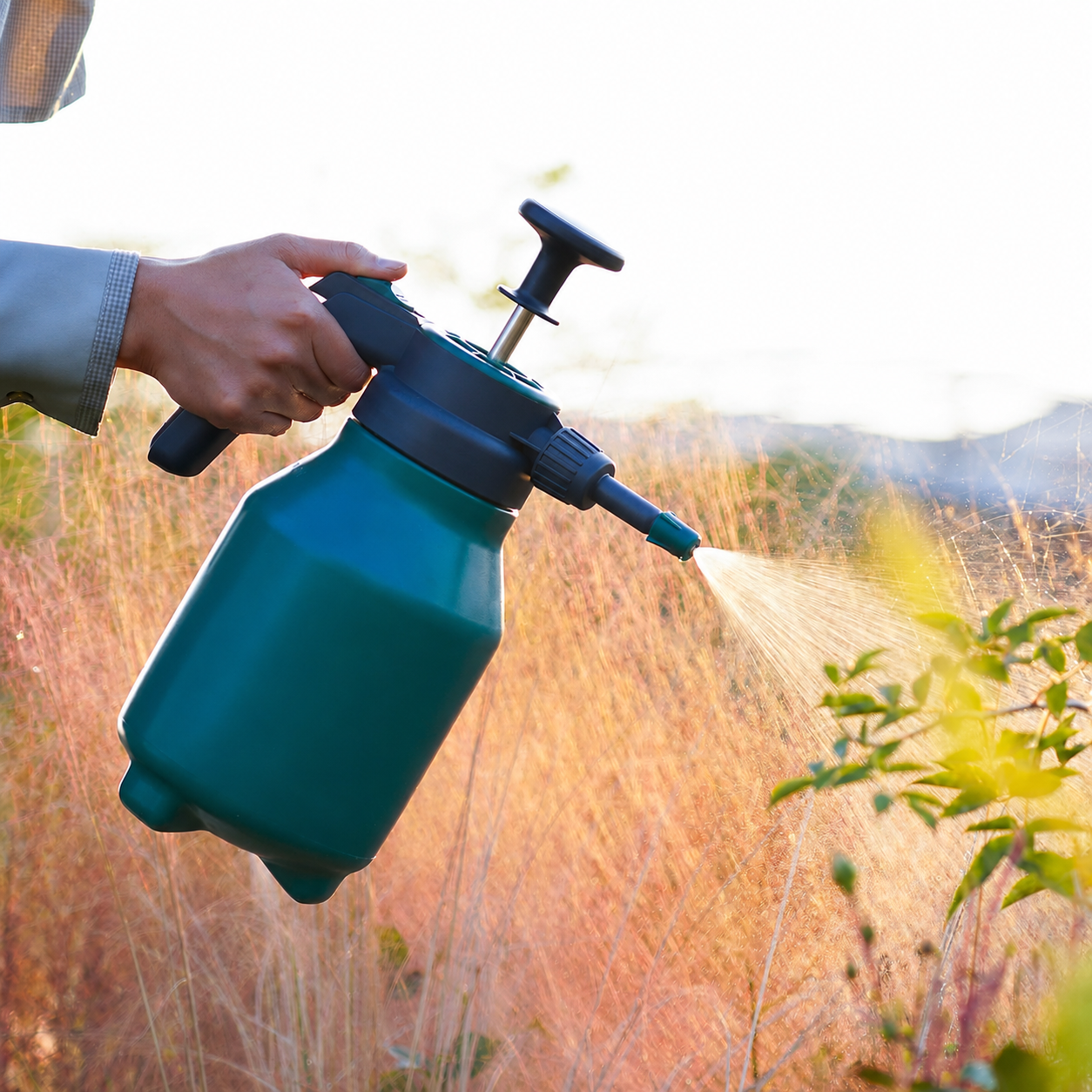 Greenhaus Gardening Hand Pump Garden Sprayer 0.5 Gallon for Plant Watering