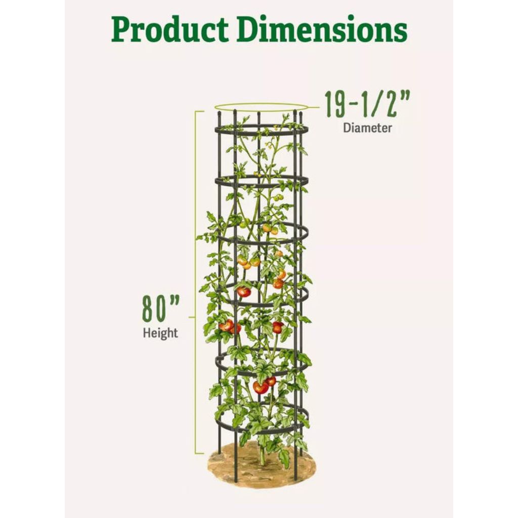 Greenhaus Gardening Tall Tomato Cages Set of 3, Heavy Duty Plant Supports