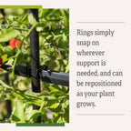 Greenhaus Gardening Tall Tomato Cages Set of 3, Heavy Duty Plant Supports