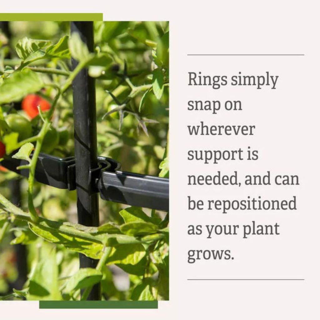 Greenhaus Gardening Tall Tomato Cages Set of 3, Heavy Duty Plant Supports