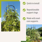 Greenhaus Gardening Tall Tomato Cages Set of 3, Heavy Duty Plant Supports
