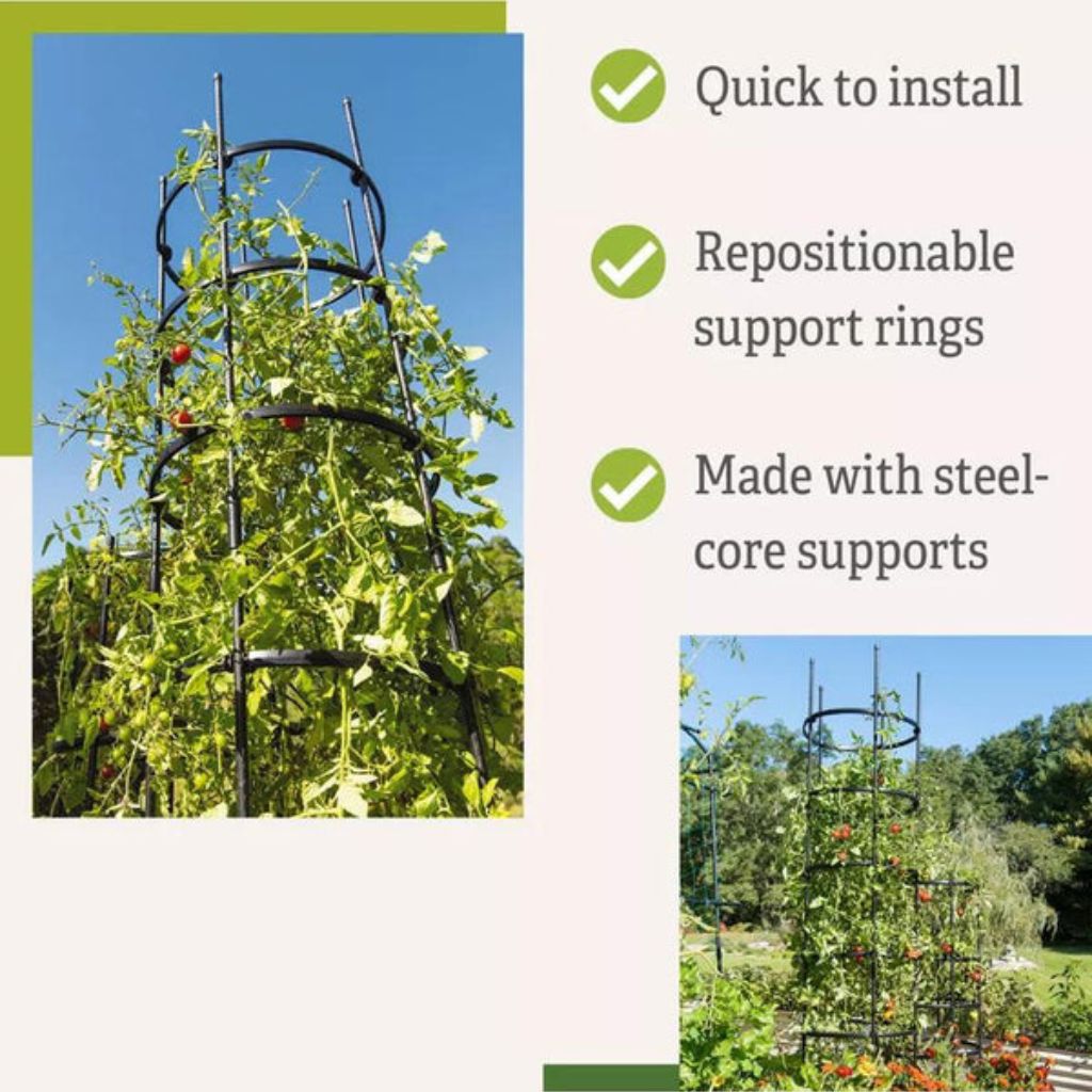 Greenhaus Gardening Tall Tomato Cages Set of 3, Heavy Duty Plant Supports