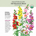Greenhaus Gardening Snapdragon Seeds Tall Flower Mix for Mass Planting