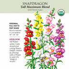 Greenhaus Gardening Snapdragon Seeds Tall Flower Mix for Mass Planting