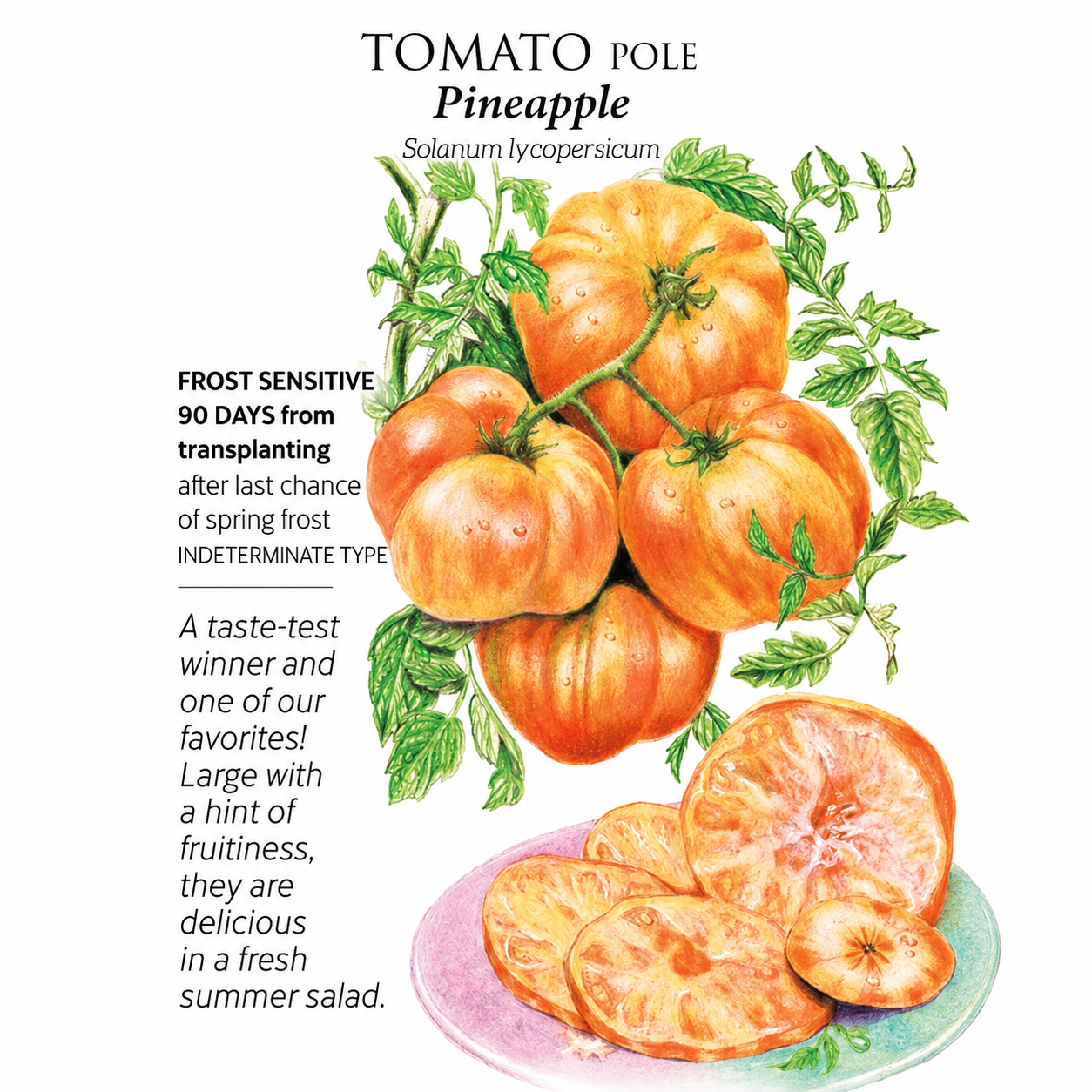 Greenhaus Gardening Tomato Seeds Fruity Low-Acid Tomato for Summer Salads