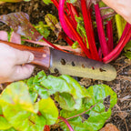 Greenhaus Gardening Garden Utility Knife, Multi-Tool for Planting & Weeding