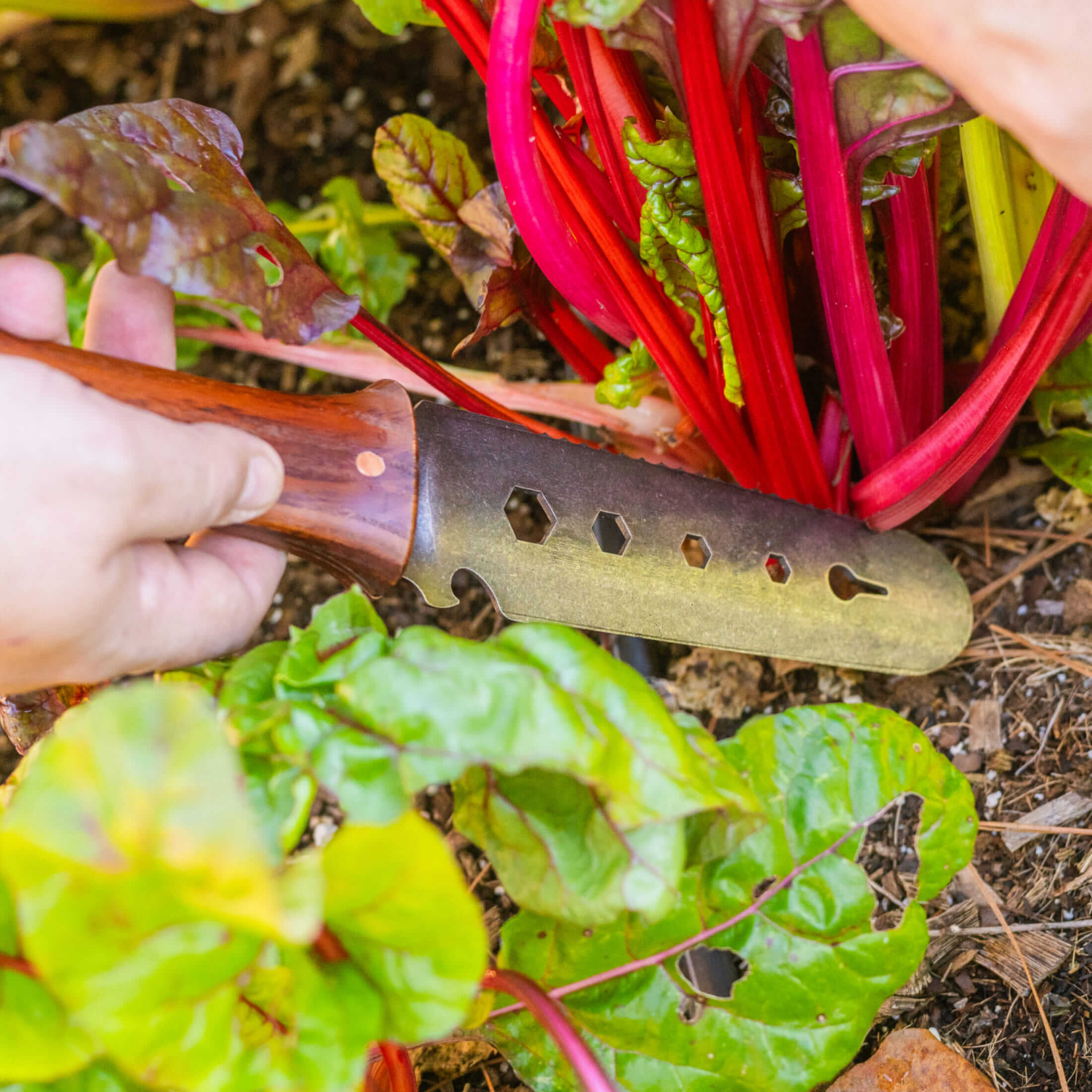 Greenhaus Gardening Garden Utility Knife, Multi-Tool for Planting & Weeding