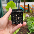 Greenhaus Gardening Cube Pot Air-Pruning Pot for Healthy Root Growth