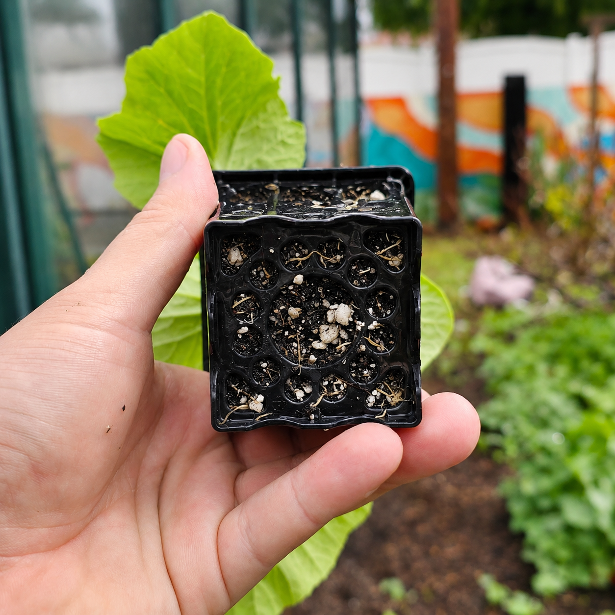 Greenhaus Gardening Cube Pot Air-Pruning Pot for Healthy Root Growth