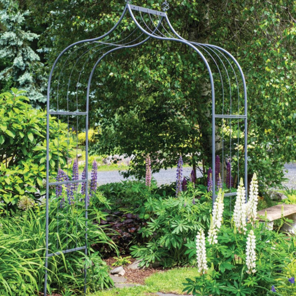 Greenhaus Gardening Metal Garden Arbor, Weather-Resistant Arch