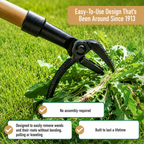 Greenhaus Gardening Stand-Up Weed Puller Tool with Bamboo Handle and Heavy-Duty 4-Claw Steel Head