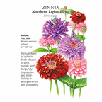 Greenhaus Gardening Zinnia Seeds Northern Lights Mix for Mass Planting