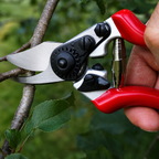 Greenhaus Gardening Hand Pruner Set for Leaves, Stems and Vines