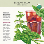 Greenhaus Gardening Lemon Balm Seeds Aromatic Herb for Indoor and Outdoor Gardens