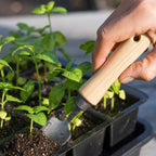 Greenhaus Gardening Mini Garden Trowel, Precision Planting Tool with Hardwood Handle