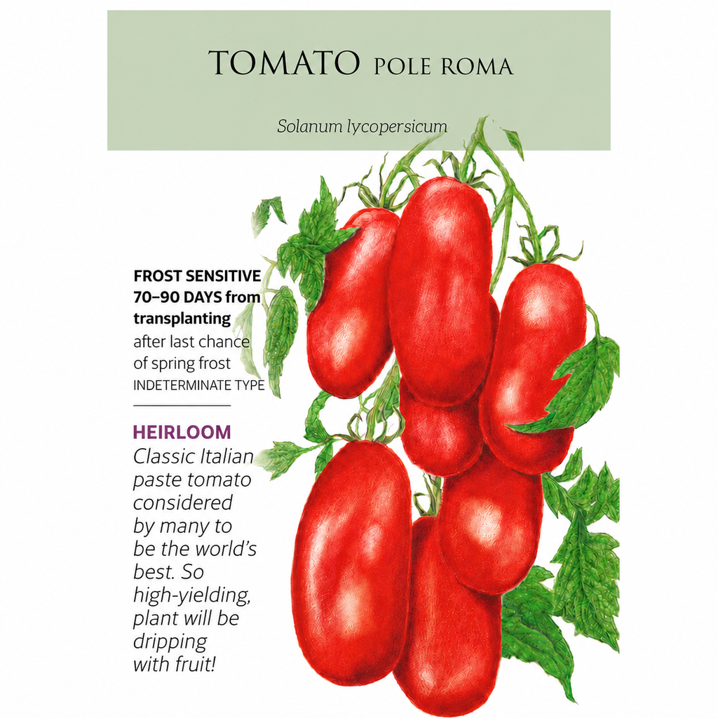 Greenhaus Gardening High Yield Paste Tomato Seeds for Backyard Gardens