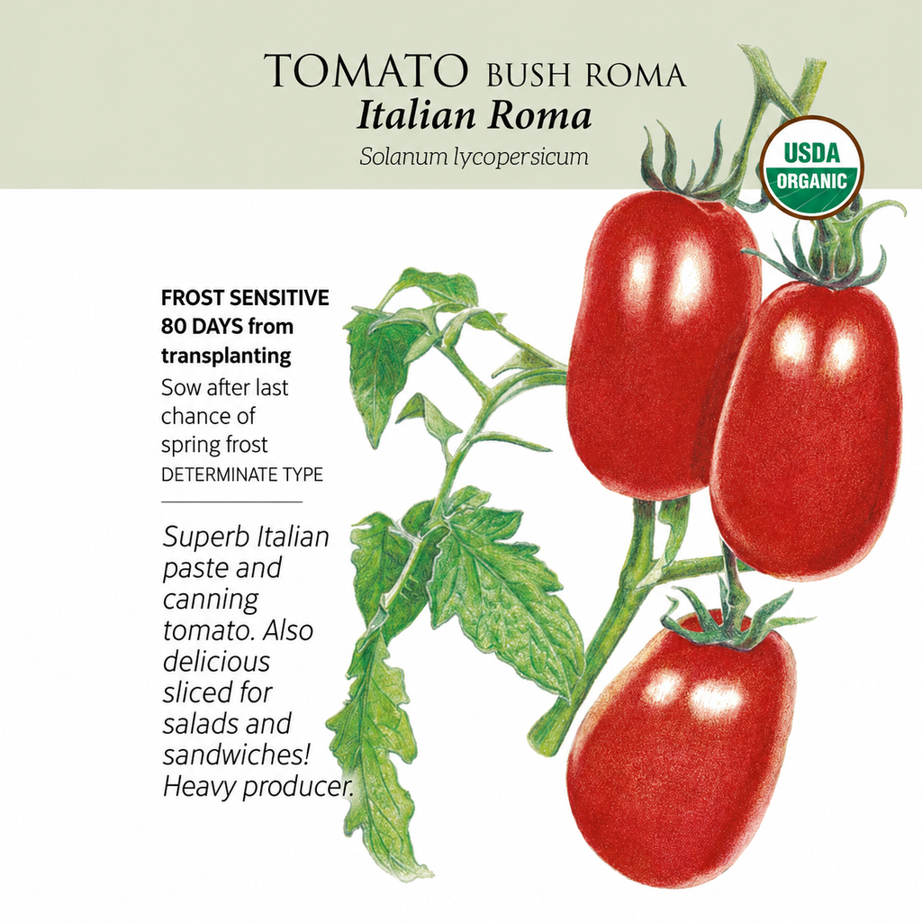 Greenhaus Gardening Tomato Seeds Bush Roma for Vegetable Garden Planting