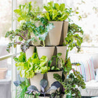 Greenhaus Gardening Vertical Planter 5-Tier Planter for Herbs Greens and Flowers