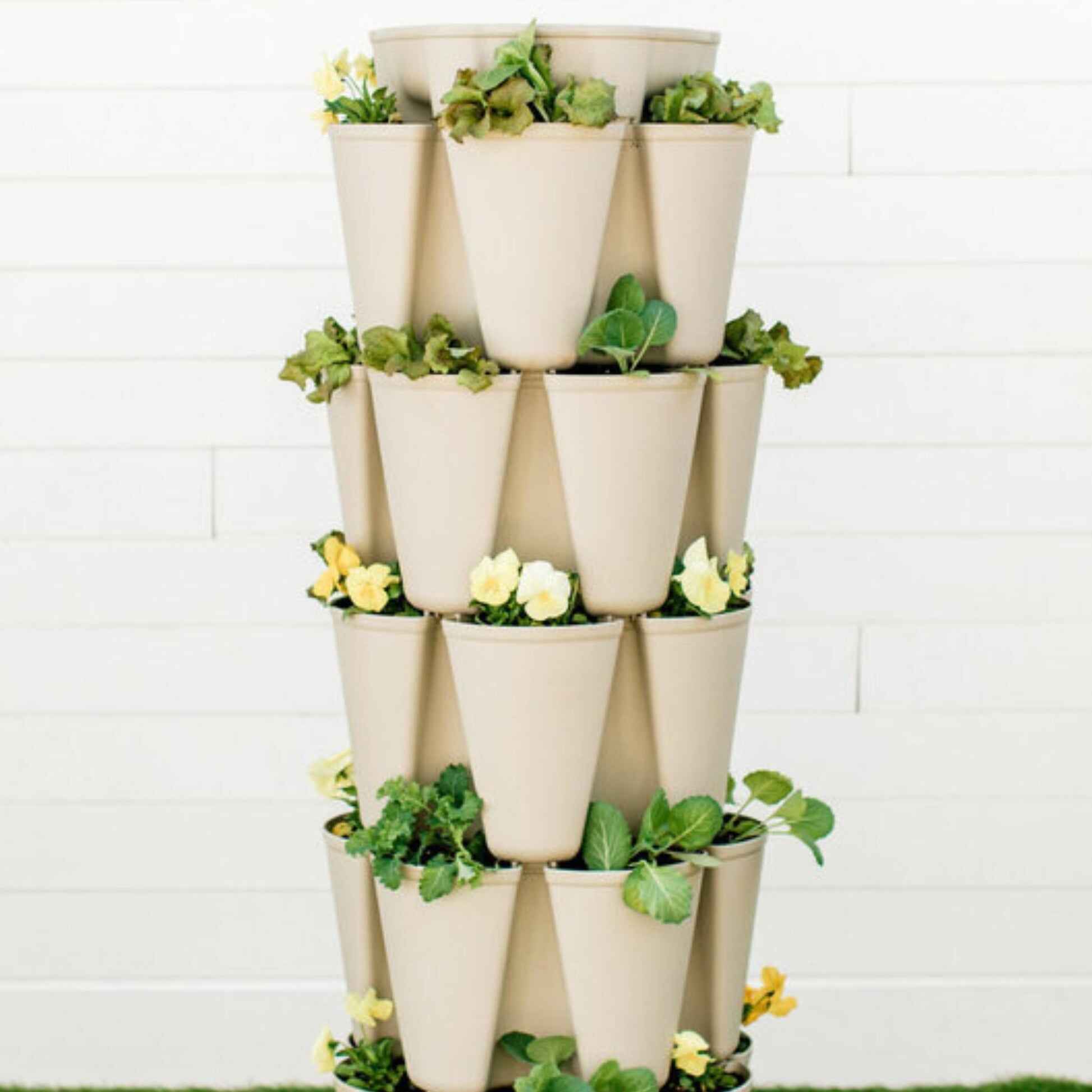 Greenhaus Gardening Vertical Planter 5-Tier Planter for Herbs Greens and Flowers