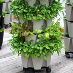 Greenhaus Gardening Vertical Planter 5-Tier Planter for Herbs Greens and Flowers