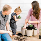 Greenhaus Gardening Vertical Planter 7-Tier Planter for Herbs Vegetables and Flowers